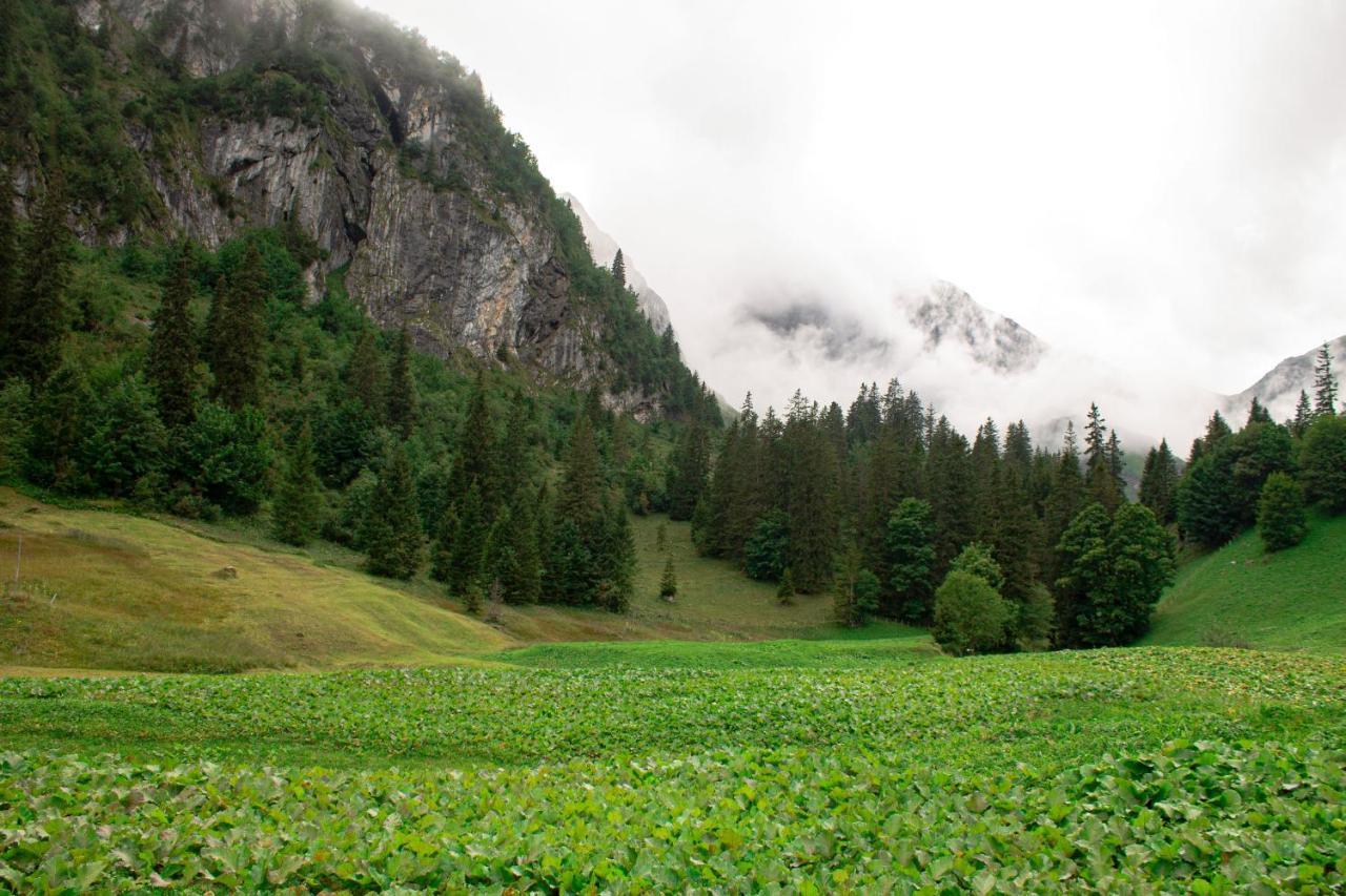Berggasthaus Gitschenen Otel Isenthal Dış mekan fotoğraf